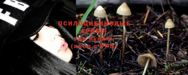 прущая мука Баксан