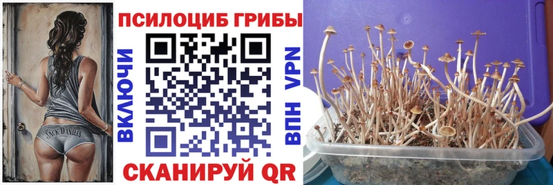 Псилоцибиновые грибы мухоморы  Великий Устюг 